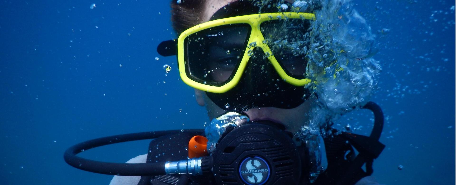 Magasin De Matériel De Plongée De Qualité -Magasin De Matériel De Plongée De Qualité dive 1652869 1920